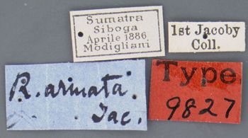Media type: image; Entomology 9827   Aspect: labels